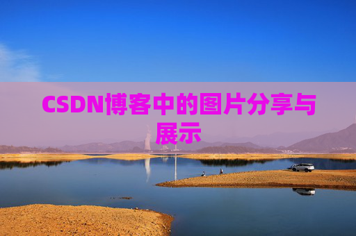 CSDN博客中的图片分享与展示